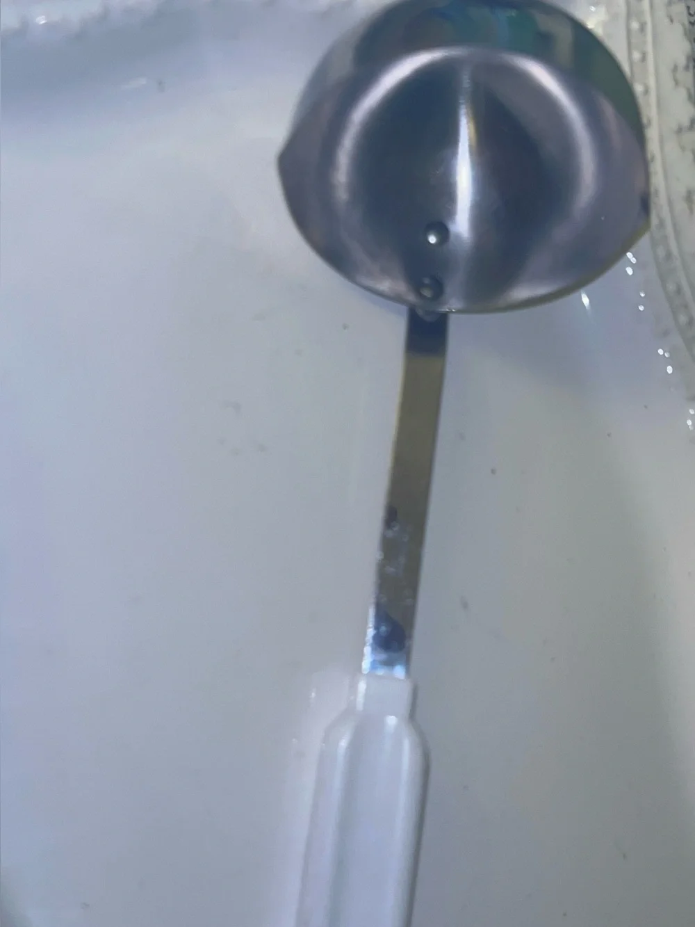 Robinson Stainless Steel Ladle White Plastic Handle Robinson Stainless USA